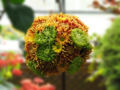 Picture of CHRYSANTHEMUM BOUQUET