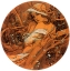 Picture of MUCHA WINTER MEDALLION