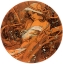 Picture of MUCHA WINTER MEDALLION