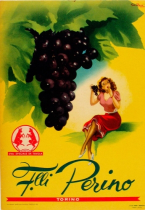 Picture of GIANROSA 1955 - GRAPES