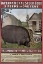 Picture of HOG FOOD