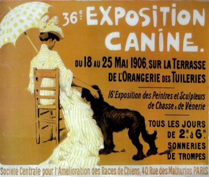 Picture of EXPOSITION CANINE