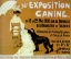 Picture of EXPOSITION CANINE