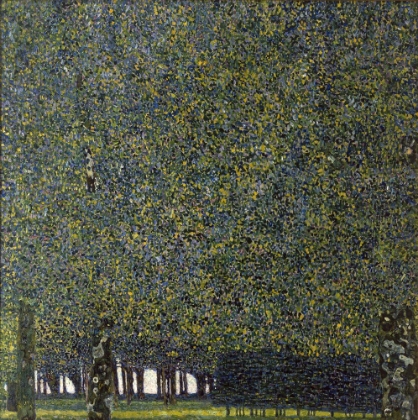 Picture of KLIMT-THE PARK