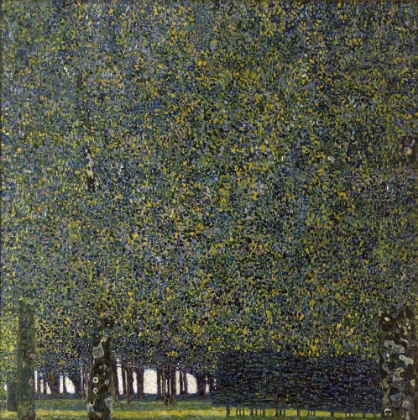 Picture of KLIMT-THE PARK