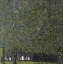 Picture of KLIMT-THE PARK