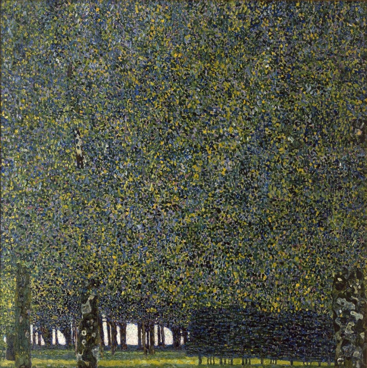 Picture of KLIMT-THE PARK