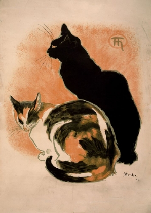 Picture of STEINLEN-TWOCATS_FILTER