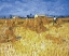 Picture of VAN GOGH-CORNFIELD IN PROVENCE