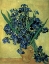 Picture of VAN GOGH-IRISES(1890)