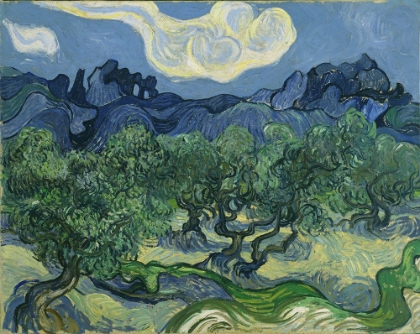 Picture of VAN GOGH-OLIVE TREES