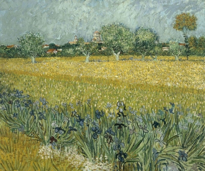 Picture of VAN GOGH-VIEW OF ARLES WITH IRISES