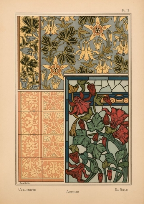 Picture of  PLATE 12 - COLUMBINE