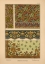 Picture of  PLATE 21 - GERANIUM