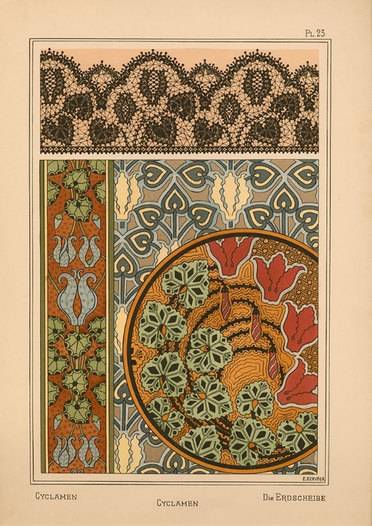 Picture of  PLATE 23 - CYCLAMEN