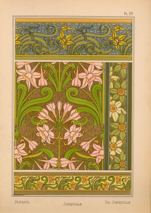 Picture of  PLATE 29 - JONQUIL