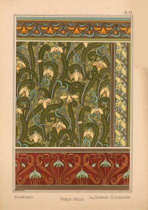 Picture of  PLATE 32 - SNOWDROP