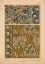 Picture of  PLATE 33 - SNOWDROP