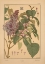 Picture of  PLATE 49 - LILAC