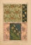Picture of  PLATE 66 - BUTTER-CUP