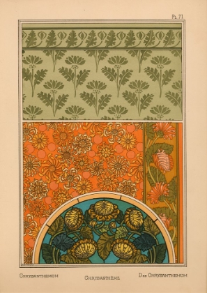Picture of  PLATE 71 - CHRYSANTHEMUM