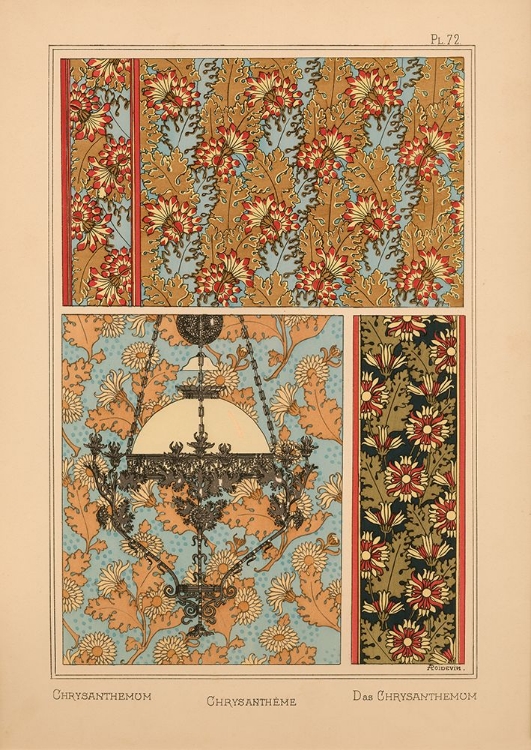 Picture of  PLATE 72 - CHRYSANTHEMUM