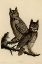 Picture of GREAT HORNED OWL