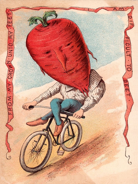 Picture of BIKE BEET