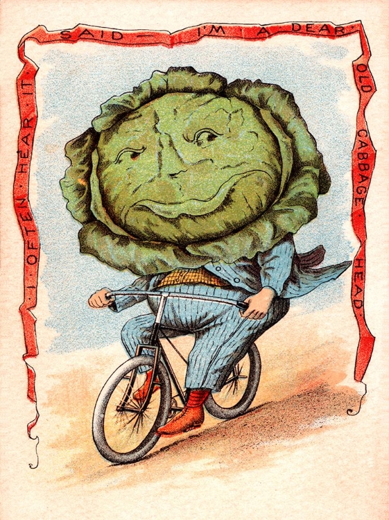 Picture of BIKE CABBAGE