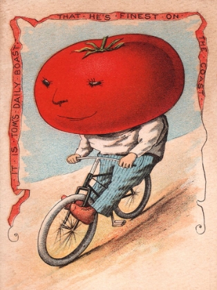 Picture of BIKE TOMATO