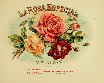 Picture of LA ROSA