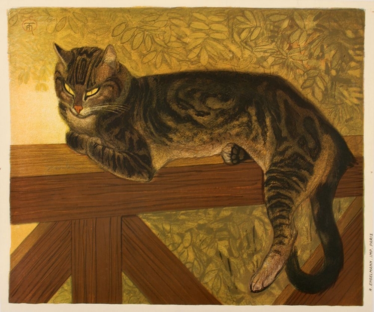 Picture of STEINLEN CAT