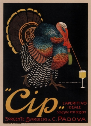 Picture of CIP PADOVA TURKEY