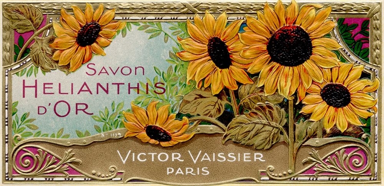 Picture of SAVON SUNFLOWERS