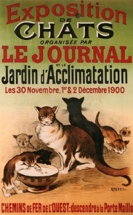 Picture of EXPOSITION DE CHATS