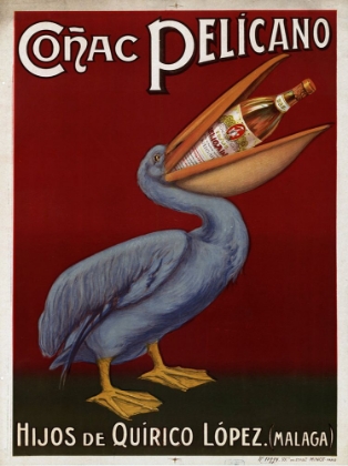 Picture of PELICANO