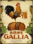 Picture of BIERE GALLIA