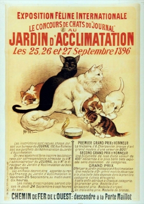 Picture of EXPOSITION FELINE
