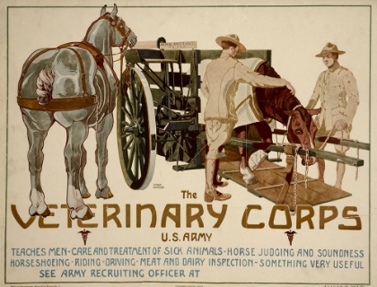 Picture of VETERINARY CORPS