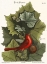 Picture of RED BIRD