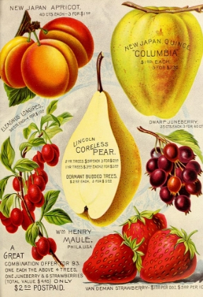 Picture of 1893 MAULE PEAR