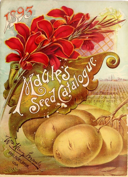 Picture of 1893 MAULES SEED