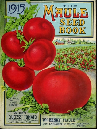 Picture of 1915 MAULE TOMATO