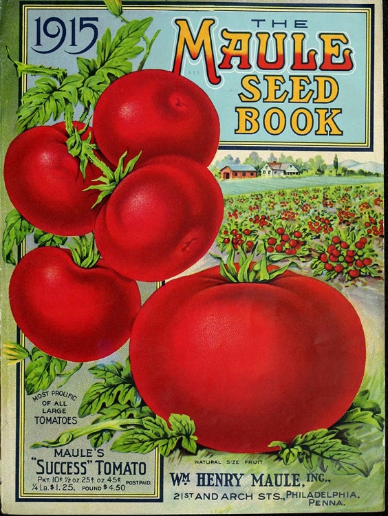 Picture of 1915 MAULE TOMATO