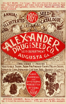 Picture of ALEXANDER SEED