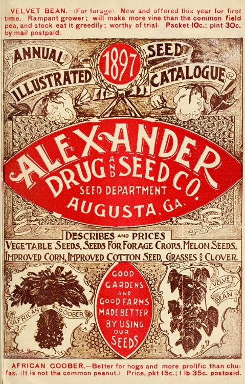 Picture of ALEXANDER SEED