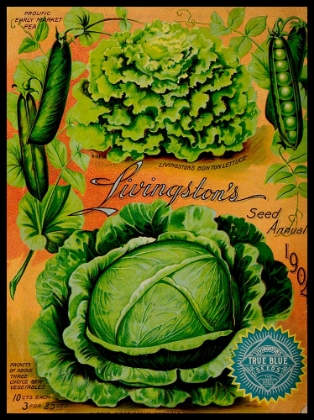 Picture of ANNUAL OF TRUE BLUE LETTUCE