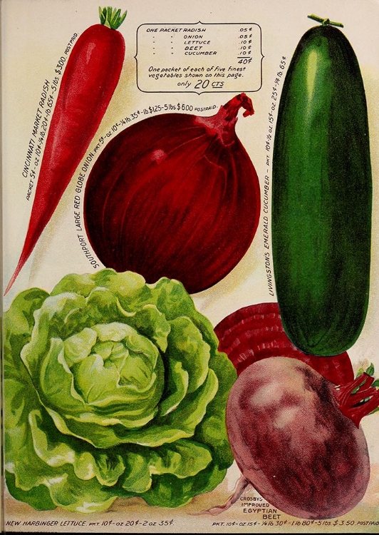 Picture of ANNUAL OF TRUE BLUE VEGGIES