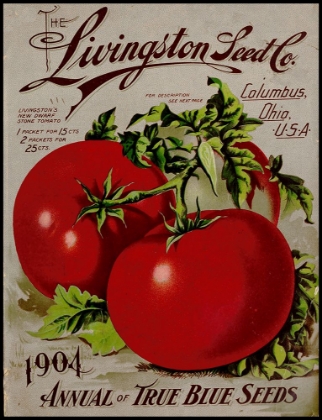 Picture of LIVINGSTON TOMATO