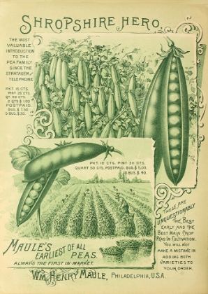 Picture of SHROPSHIRE PEAS
